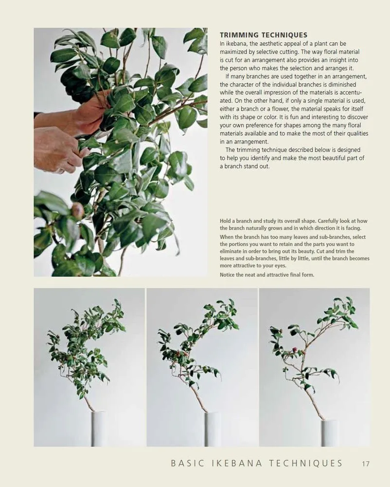 Japanese Ikebana for every Season