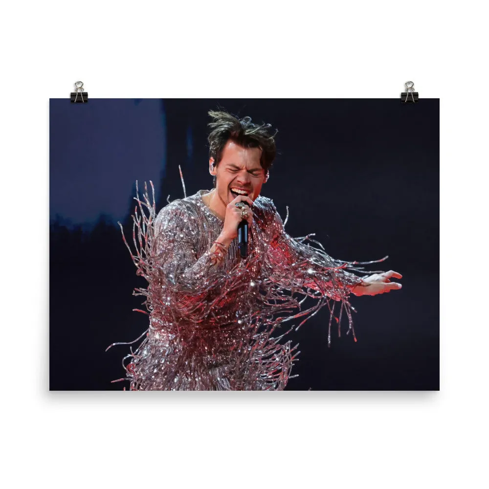 Solo Artist Harry Styles Poster