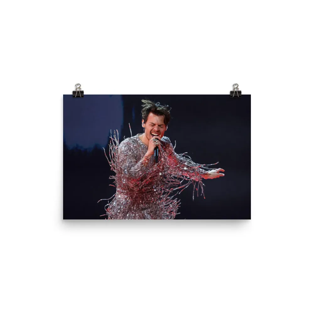 Solo Artist Harry Styles Poster