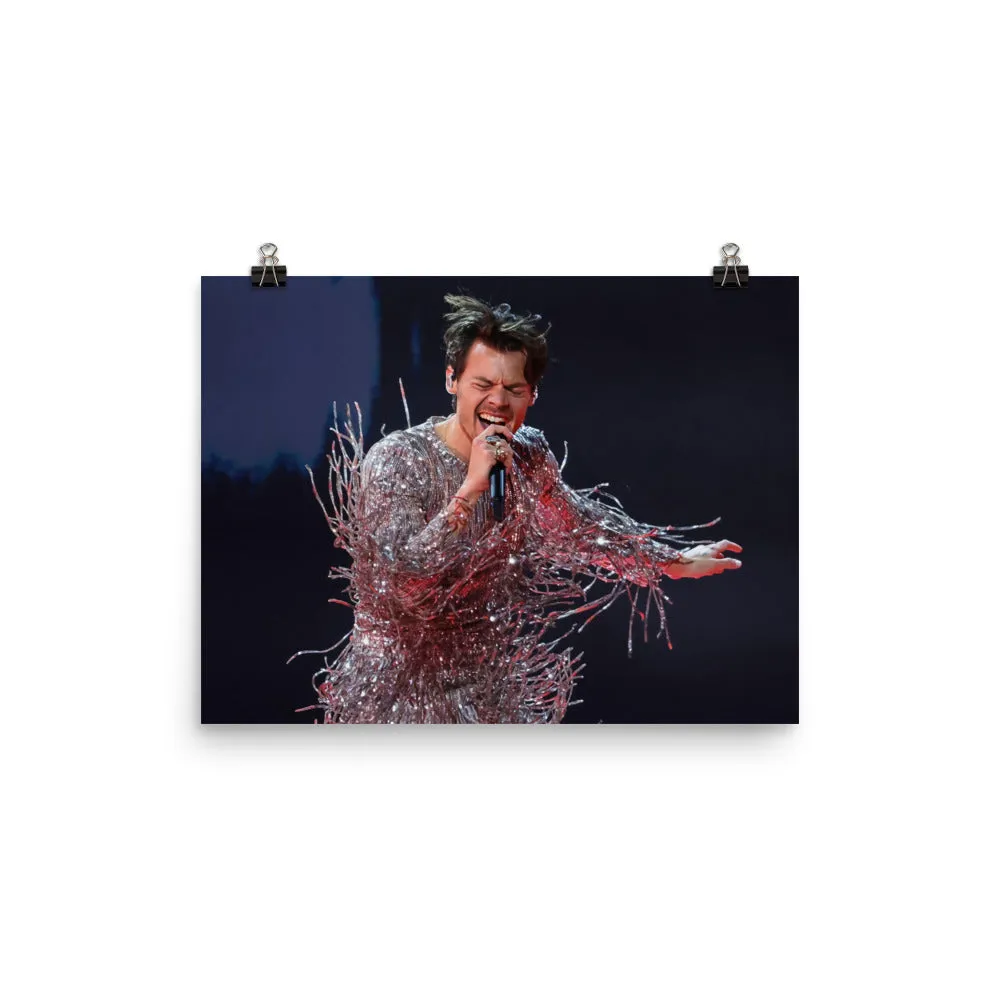 Solo Artist Harry Styles Poster